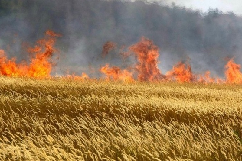 Фото использовано в качестве иллюстрации, topor.od.ua