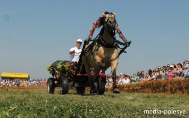 Фото из архива МП, 2017 год