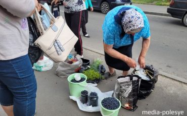 Фото предоставлено читательницей