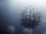 Фото: pixabay.com