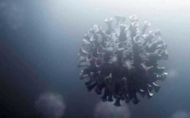 Фото: pixabay.com