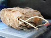 Фото использовано в качестве иллюстрации, russianlook