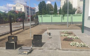 Фото из соцсетей