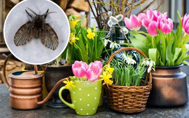 Фото depositphotos.com