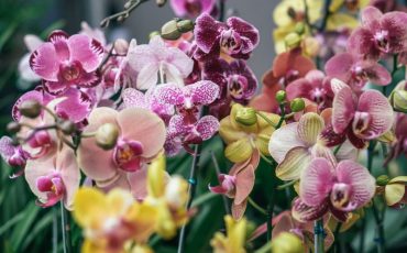 Фото: Ardi Evans, unsplash.com