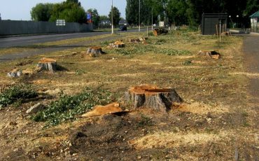 Фото Валентина Стефановича из соцсетей