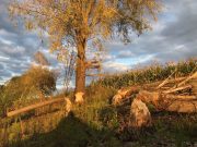 Фото из соцсетей