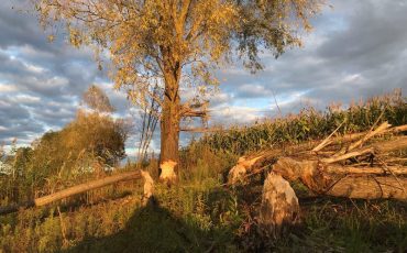 Фото из соцсетей