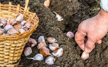 Фото из соцсетей