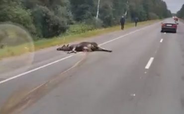 Скриншот видео