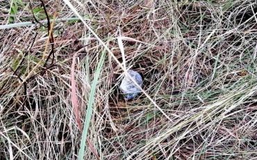 Фото Пинского ГОВД