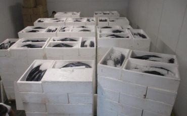 Фото: ctu.customs.gov.ru