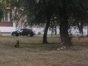 Фото из группы 