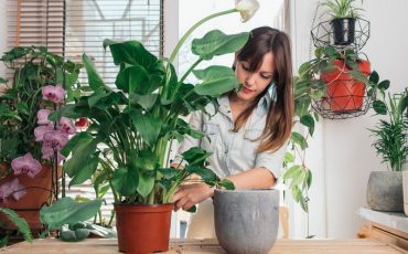 Фото: Westend61/Getty Images