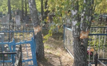 Фото из группы 