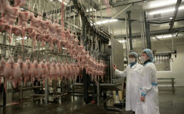 Фото использовано в качестве иллюстрации, ptushka.by