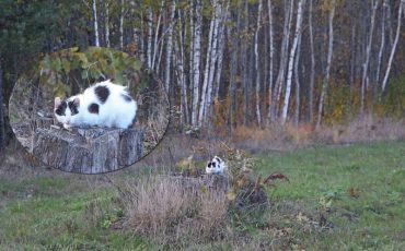 Фото из группы «Сайт города Микашевичи»