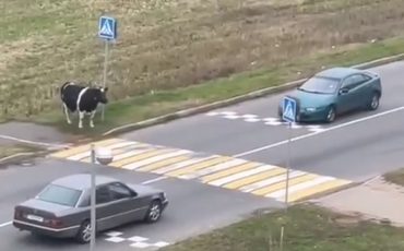 Скриншот видео