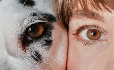 Фото: Getty Images/EyeEm