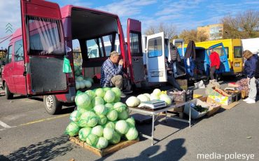 Фото использовано в качестве иллюстрации