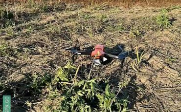 Скриншот видео