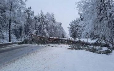 Дорога Кричев—Чериков, 27 ноября. Фото: паблик «Могилев сейчас»