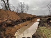 Фото: t.me/vvgladkov