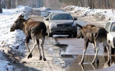 Фото использовано в качестве иллюстрации, из открытых источников