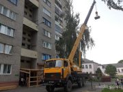 Фото использовано в качестве иллюстрации, из архива МП