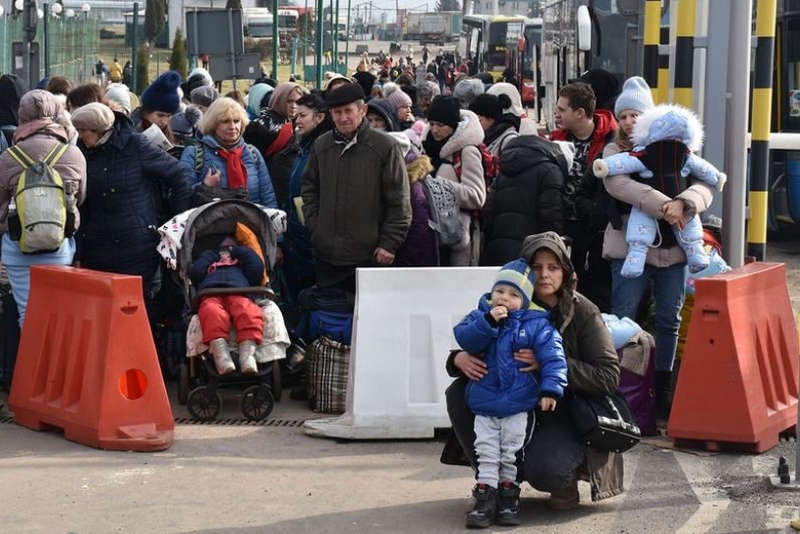 Фото использованов качестве иллюстрации, 5.ua