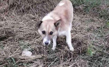 Фото из соцсетей