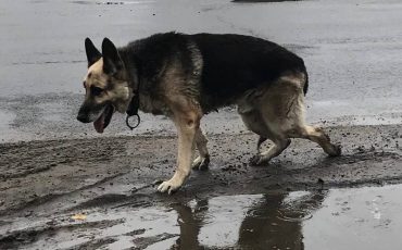 Фото из соцсетей