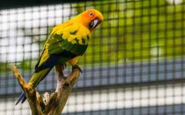 Фото: depositphotos.com