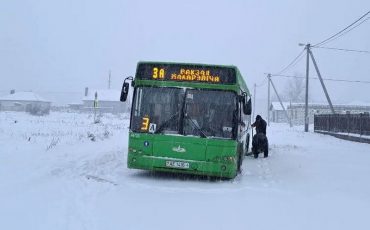 Фото Пинсктранс Фото Пинсктранс
