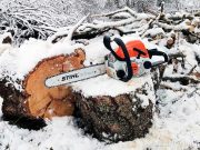 Фото использовано в качестве иллюстрации