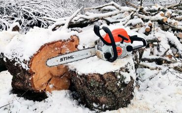 Фото использовано в качестве иллюстрации