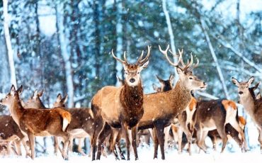 Фото использовано в качестве иллюстрации, ru.freepik.com