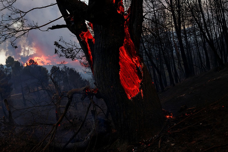 Фото: Reuters