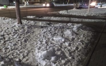 Фото из соцсетей