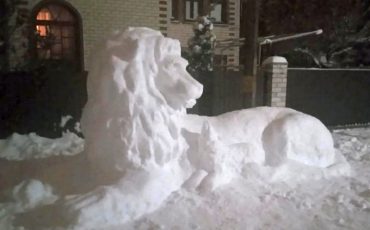 Фото из соцсетей