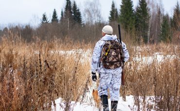 Фото использовано в качестве иллюстрации / Фотобанк Лори