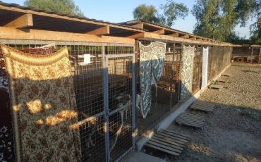 Фото из группы 