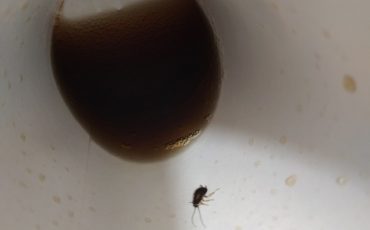 Фото из соцсетей