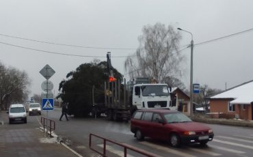 Фото из соцсетей