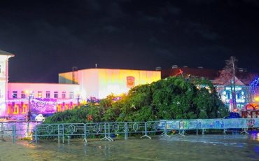 Фото из соцсетей