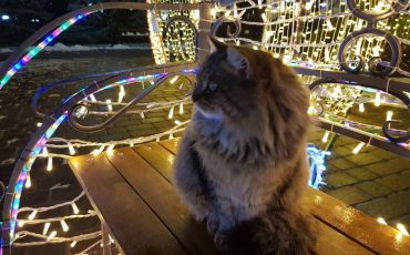 Фото из соцсетей