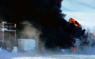 Фото: тайга