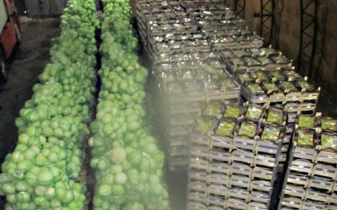 Фото Россельхознадзора