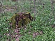 Фото из соцсетей