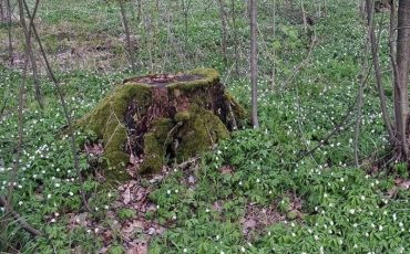 Фото из соцсетей